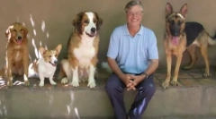 Каква раса на кучиња во филмот куче живот